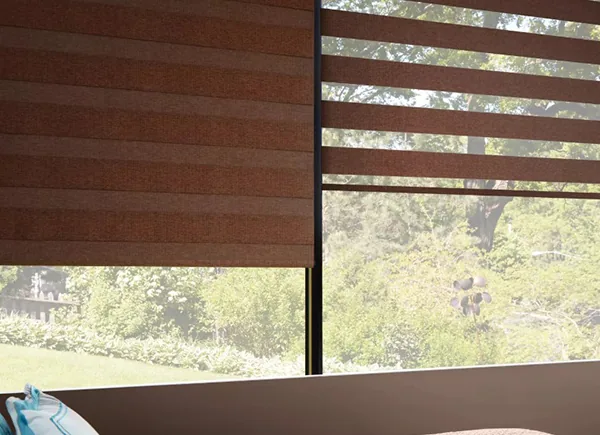 Zebra banded shades in a Eustis, Florida room